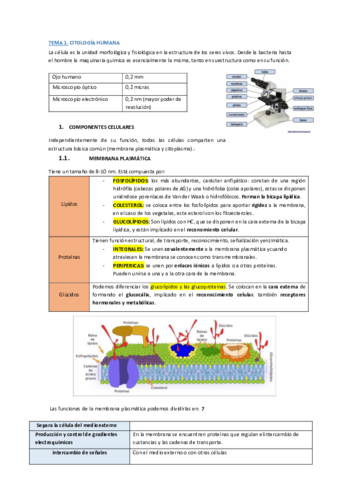T1-CITOLOGIA-.pdf