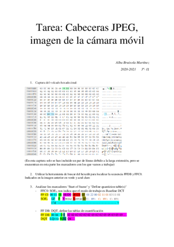 Tareajpeg.pdf