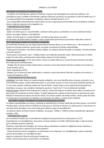 Lipidos.pdf