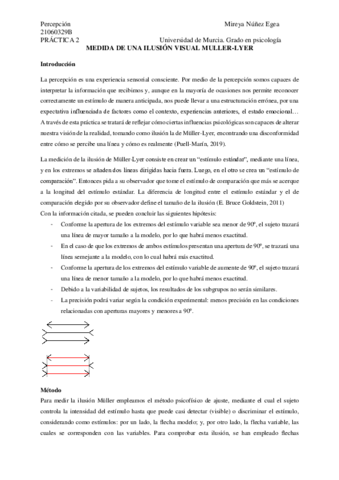 Practica 2 percepción.pdf