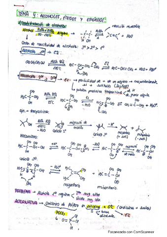 Tema-4-Organica-I.pdf