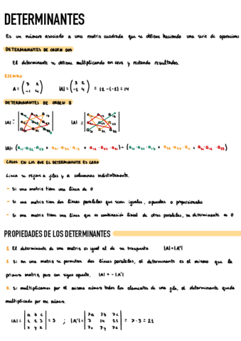 Determinantes.pdf