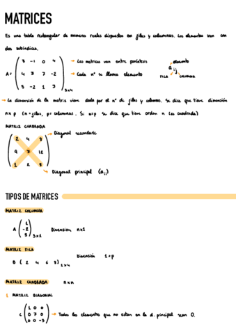 Matrices.pdf