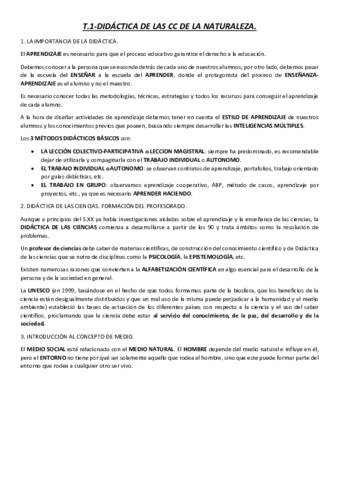 RESUMEN-T.pdf