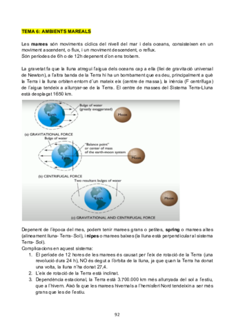 sediteoriatema6.pdf