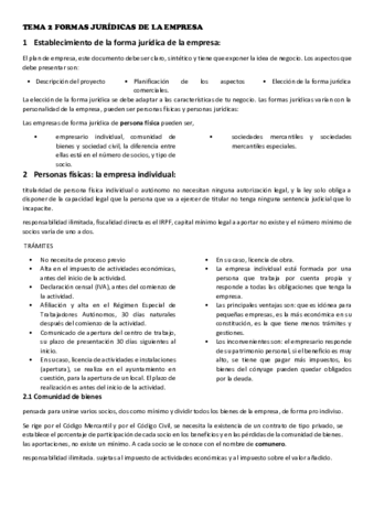 TEMA-2.pdf