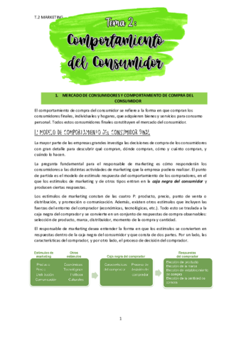 TEMA-2-MARKETING.pdf