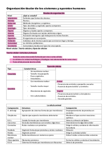 organizacion-tisular.pdf