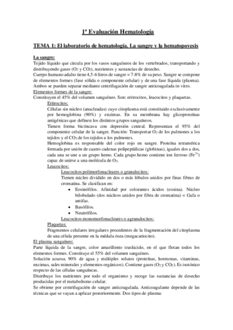 Teoria-Hemato.pdf