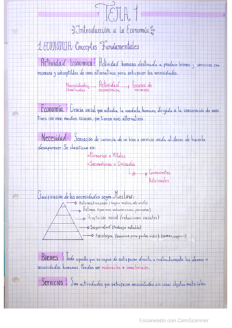 Inteoduccion-a-la-economia-1-Bach.pdf