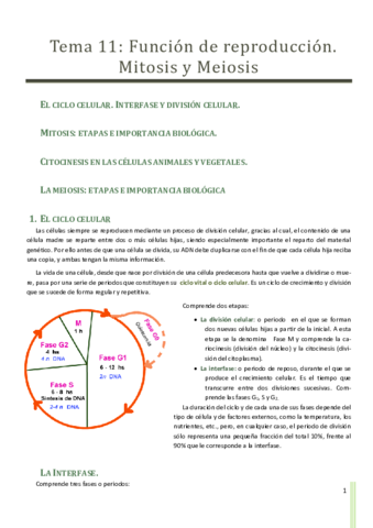 Funcion-de-reproduccion.pdf