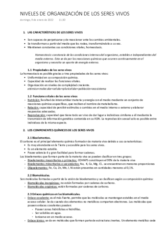 NIVELES-DE-ORGANIZACION.pdf