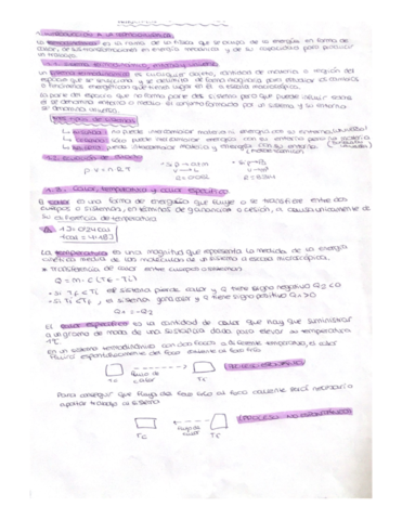 PRINCIPIOS-TERMODINAMICOS-.pdf