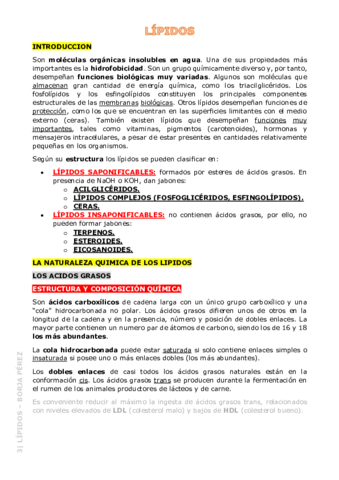 3-Lipidos-Resumen.pdf