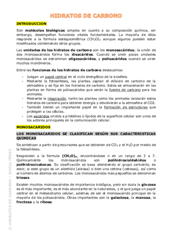 2-Hidratos-de-Carbono-Resumen.pdf