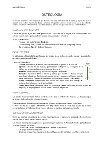 OSTEOLOGIA-1.pdf