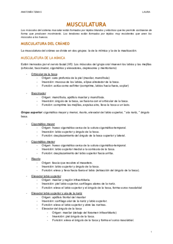 MUSCULATURA-1.pdf
