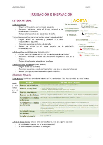 IRRIGACION-E-INERVACION-1.pdf