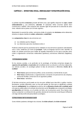 RESUMEN-ESTRUCTURA-SOCIAL.pdf