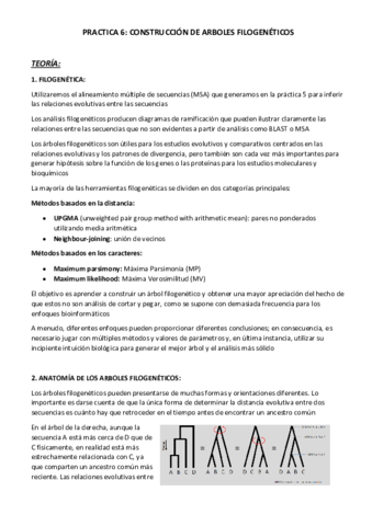 Bioinformatica-practica-6.pdf