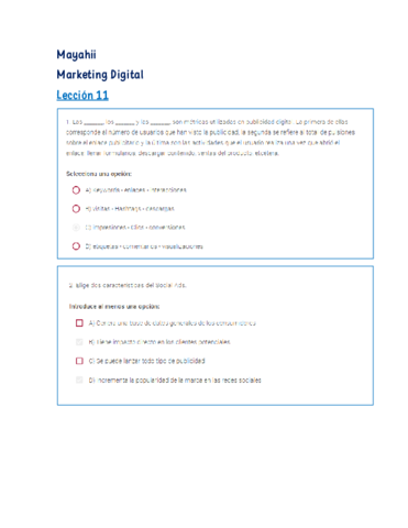 LECCION-11MARKETING-DIGITALMAYAHII.pdf