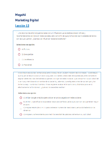 LECCION-13MARKETING-DIGITALMAYAHII.pdf