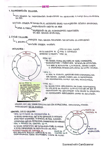 UD.pdf