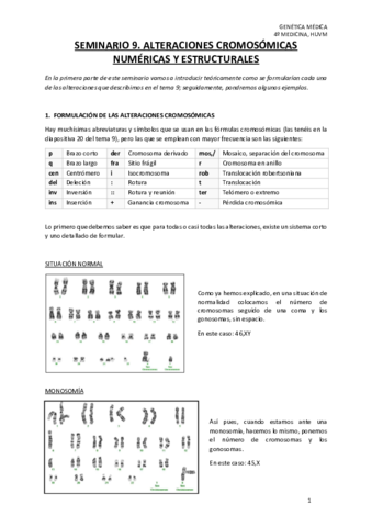 SEMINARIO-9.pdf