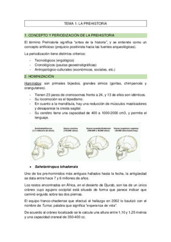 TEMA-1-la-prehistoria.pdf