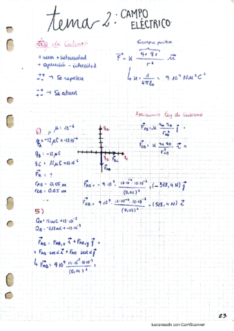 CAMPO-ELECTRICO.pdf