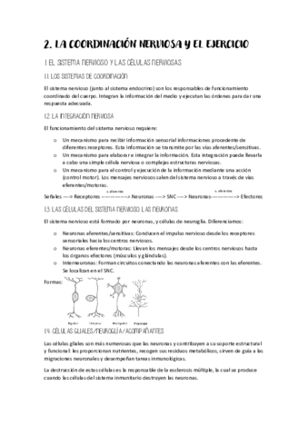 t2-anatomia.pdf
