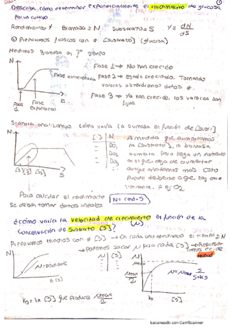 preguntas-practicas-micro.pdf