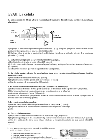 TEMA-6-LA-CELULA-EUCARIOTA.pdf