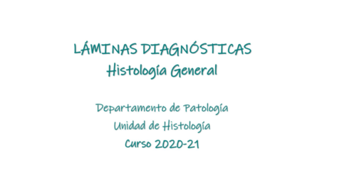 Laminas-diagnosticas-Histologia-2.pdf