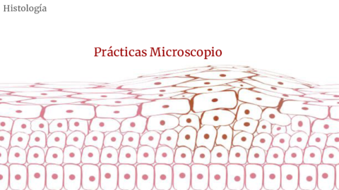 Histologia-Practicas.pdf