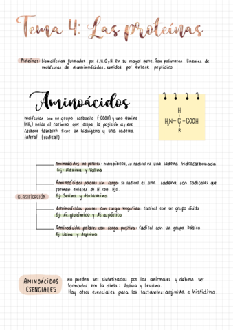 Proteínas y enzimas .pdf