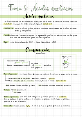 aminoacidosacidos-nucleicos-.pdf
