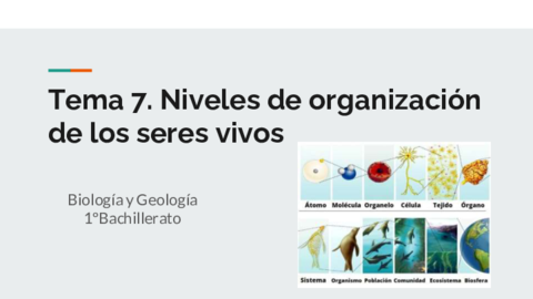 Niveles-de-organizacion-de-los-seres-vivos.pdf