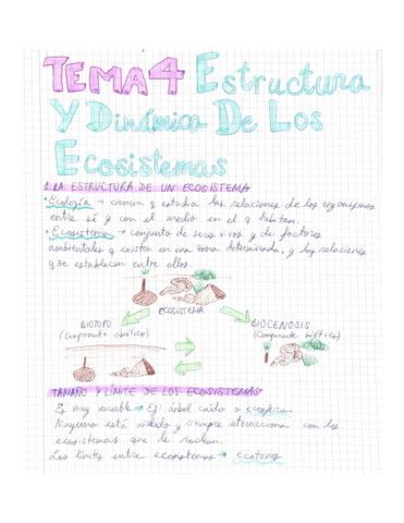 Apuntes-biologia-Tema-4.pdf