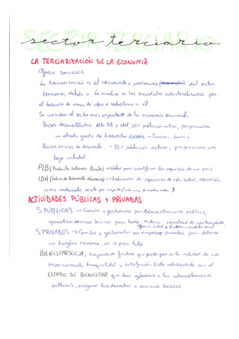 SECTOR-TERCIARIO.pdf