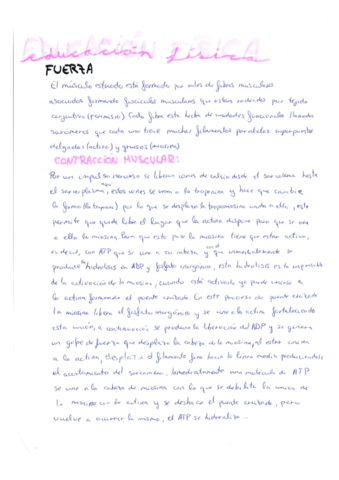 CAPACIDADES-FISICAS-BASICAS.pdf