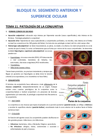 BLOQUE-IV-SEGMENTO-ANTERIOR-Y-SUPERFICIE-OCULAR.pdf