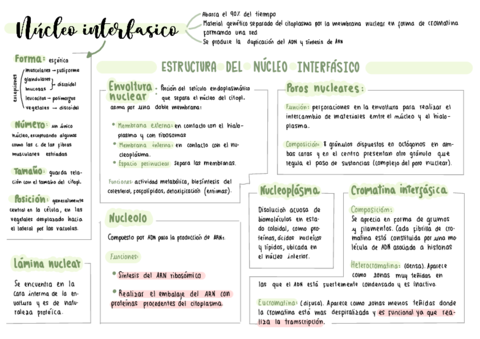 organulos-celulares-membranosos-y-no-membranosos.pdf