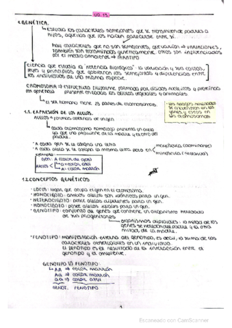 UD.pdf