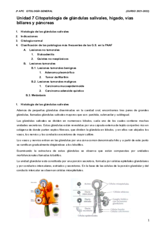 Tema-7.pdf