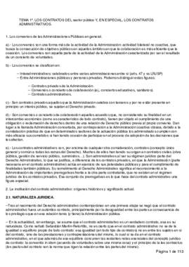 APUNTES ADMINISTRATIVO II.pdf
