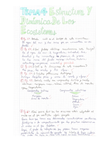 Tema-4-ejercicios-solucionados.pdf