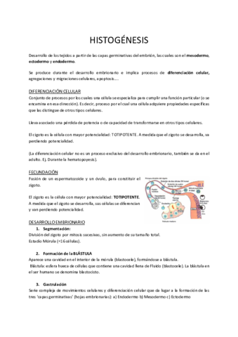 TEMA-3-HISTOGENESIS.pdf