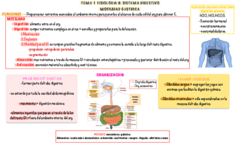 Fisiologia-II-1-PARCIAL.pdf