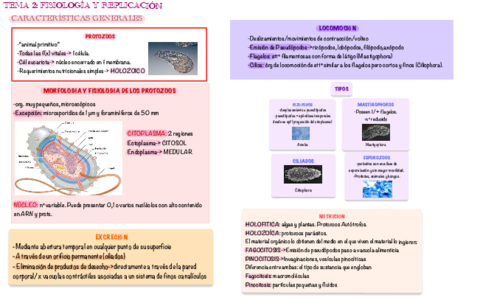 Esquemas-Tema-2-Parasitologia.pdf